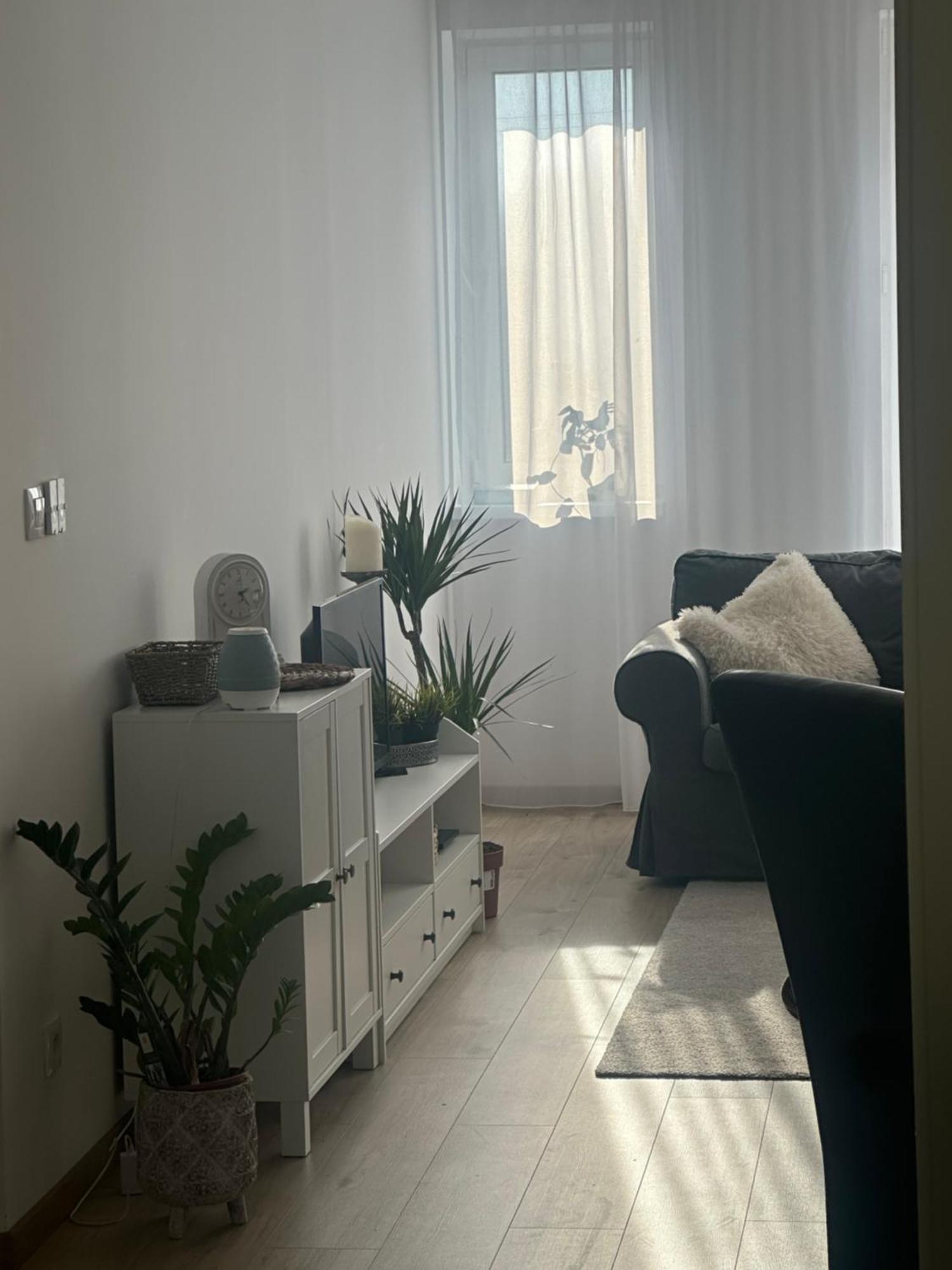 Essential Living